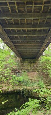 20240428_113114.jpg