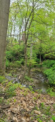 20240428_113353.jpg