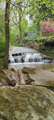 20240428_113550.jpg