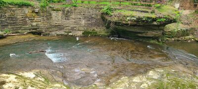 20240428_114004.jpg