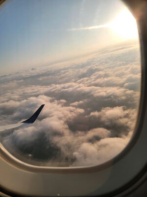 20240505_070358.jpg