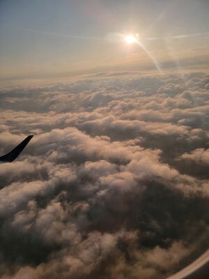 20240505_070403.jpg