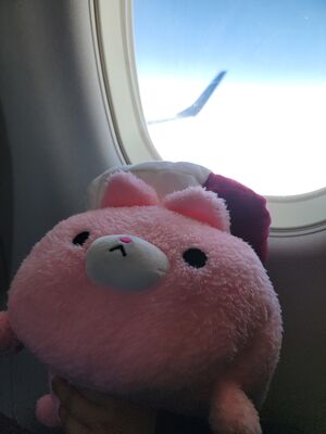 20240505_071914.jpg