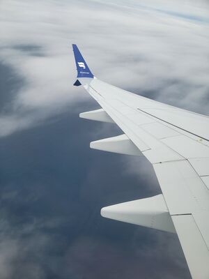 20240505_122144.jpg
