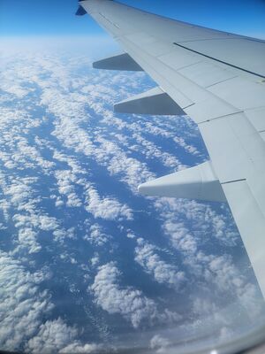 20240505_152719.jpg