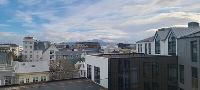 20240506_082225.jpg