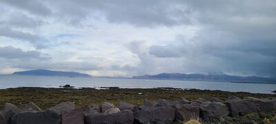 20240506_093129.jpg
