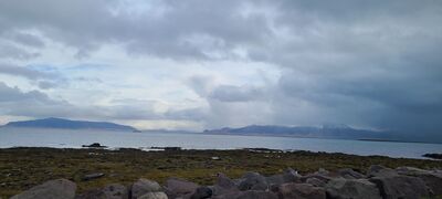 20240506_093233.jpg