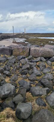 20240506_093308.jpg