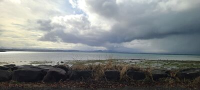 20240506_094559.jpg