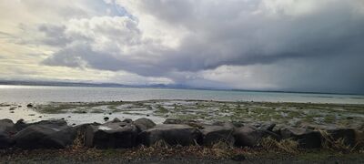20240506_094603.jpg