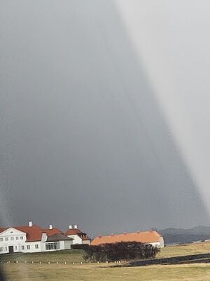 20240506_103108.jpg
