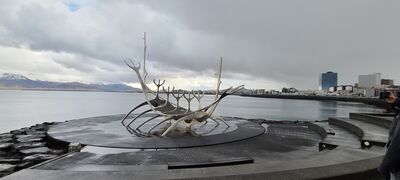 20240506_115447.jpg