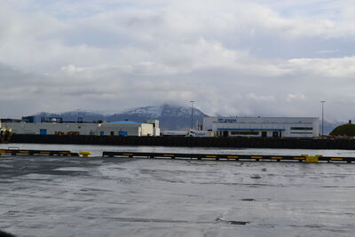 DSC_0285.JPG