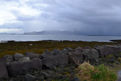 DSC_0291.JPG