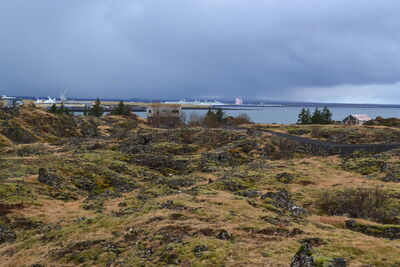 DSC_0310.JPG