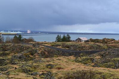 DSC_0311.JPG
