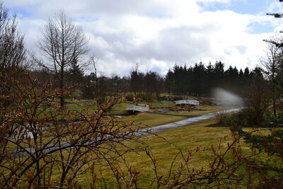DSC_0317.JPG
