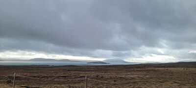 20240507_093747.jpg