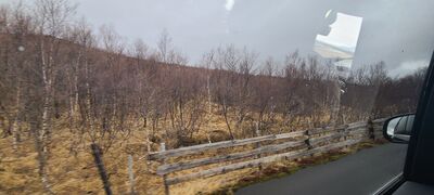 20240507_094528.jpg