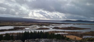 20240507_095713.jpg