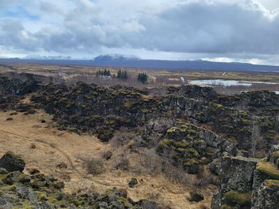 20240507_101633.jpg