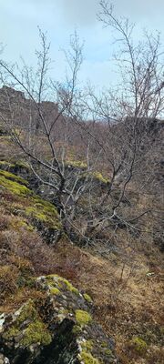 20240507_102033.jpg