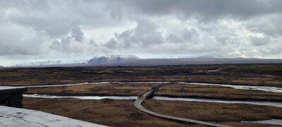 20240507_103056.jpg
