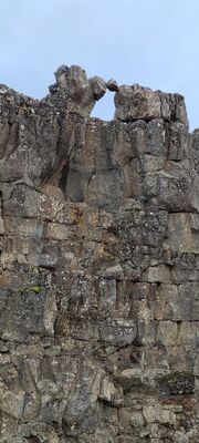 20240507_103202.jpg
