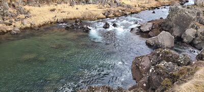 20240507_103720.jpg