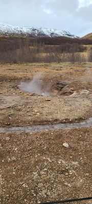20240507_122108.jpg