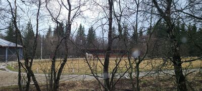 20240507_143901.jpg