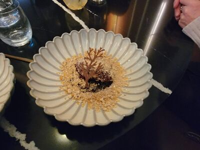20240507_203750.jpg
