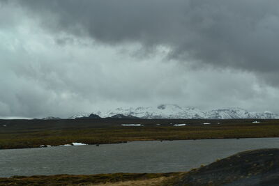DSC_0329.JPG