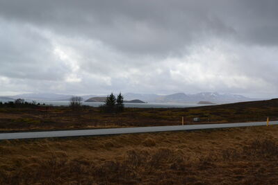 DSC_0335.JPG