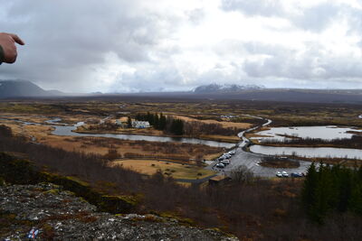 DSC_0340.JPG
