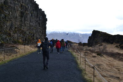 DSC_0350.JPG