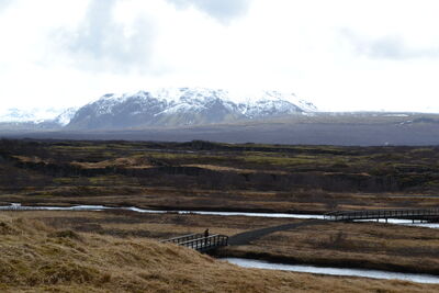DSC_0351.JPG