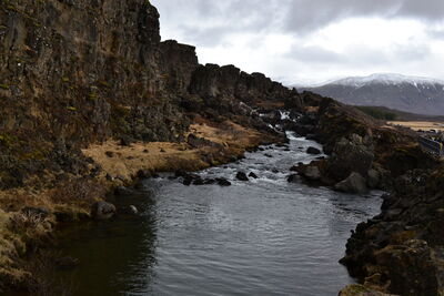 DSC_0353.JPG