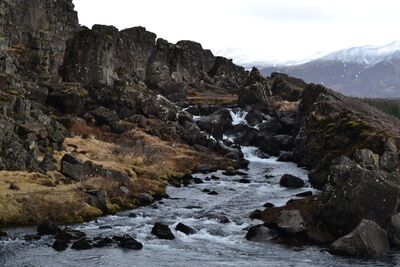 DSC_0354.JPG