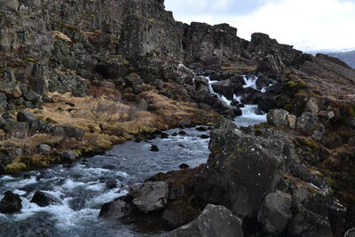 DSC_0355.JPG