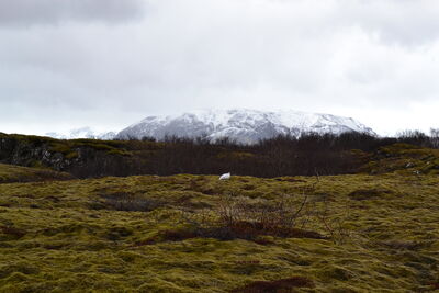 DSC_0358.JPG