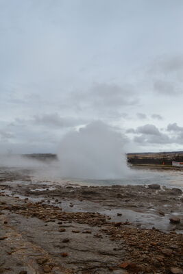 DSC_0371.JPG