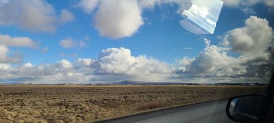 20240508_095950.jpg