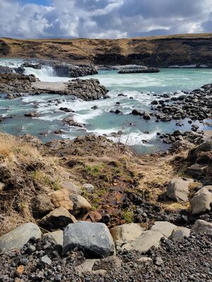 20240508_101351.jpg