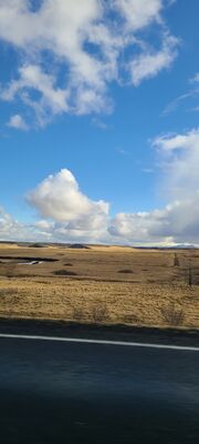 20240508_103938.jpg
