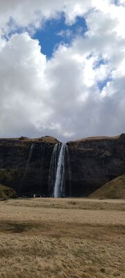20240508_113351.jpg