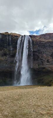 20240508_113644.jpg