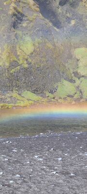 20240508_124940.jpg