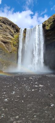 20240508_125039.jpg